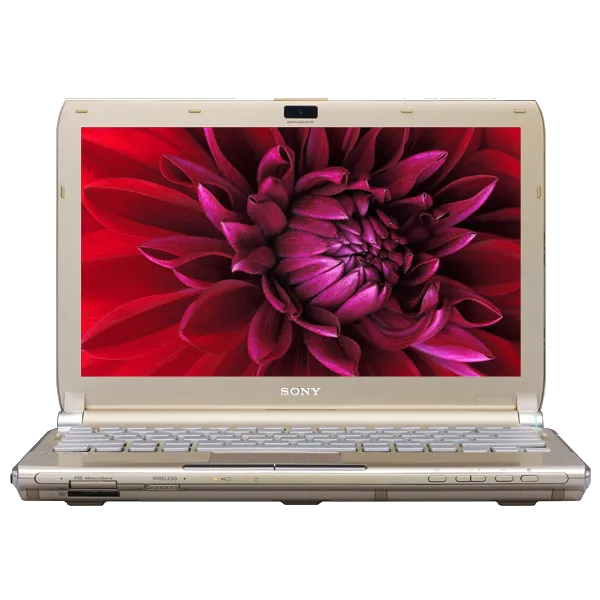 Замена тачпада Sony VAIO VGN-TT4MRG
